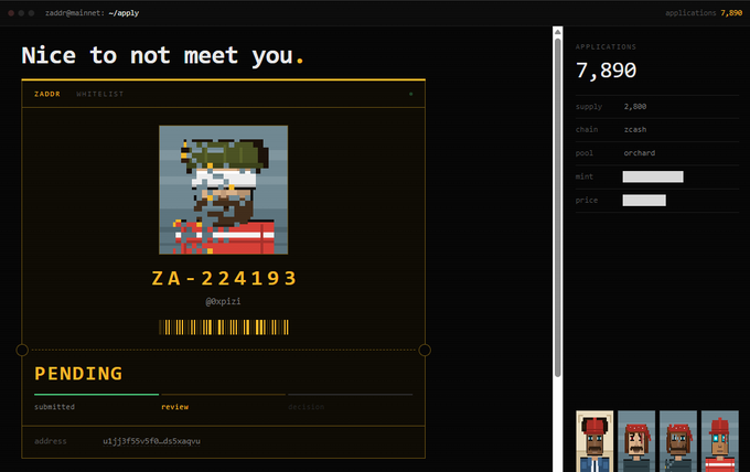 A screenshot of a ZADOR Whitelist page showing a pixel art character (ZA-224193) with the text 'Nice to not meet you.' and 'PENDING' status, with 7,890 applications displayed on the right.