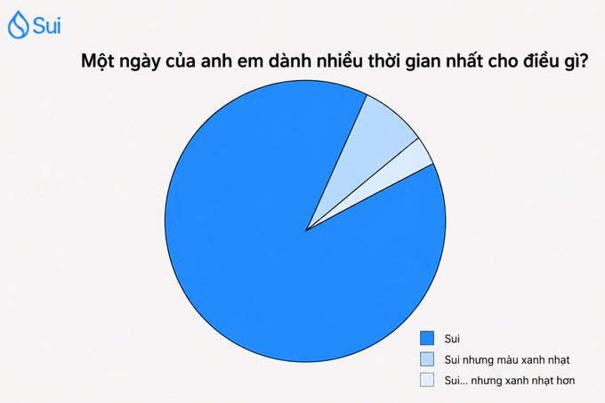 A Sui-themed pie chart in Vietnamese asking 'Một ngày của anh em dành nhiều thời gian nhất cho điều gì?' showing overwhelmingly Sui-dominated results.
