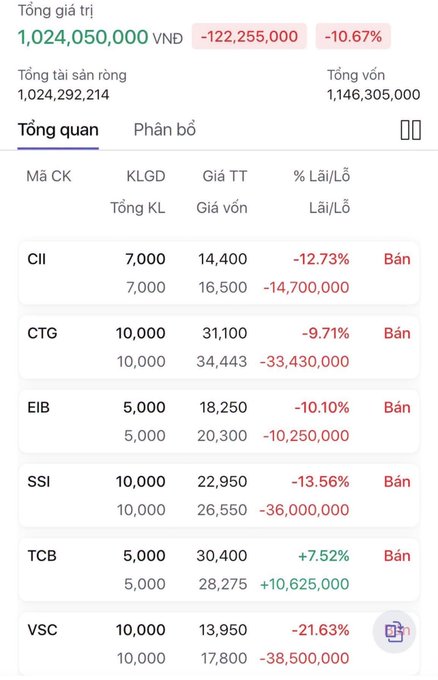 A Vietnamese stock portfolio summary shows a total value of 1,024,050,000 VND with a loss of -122,255,000 (-10.67%), detailing individual positions in tickers like CII, CTG, EIB, SSI, TCB, and VSC.