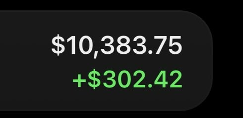 A financial display showing a balance of $10,383.75 with a gain of +$302.42 in green.