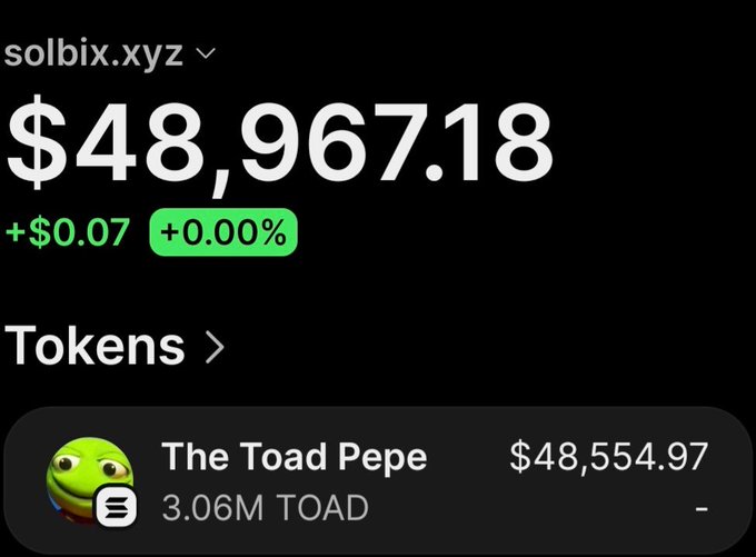 The image displays a screenshot from solbix.xyz showing the wallet AjmmrnMkd4FHe7HZULcof2WZaR7x2ivdvNJwGcLJz2YS holding $48,967.18 worth of "The Toad Pepe" (TOAD) tokens, with 3.06M TOAD valued at $48,554.97, illustrating the remaining holdings from the post's claim of turning $16,000 into over $55,000 profit.