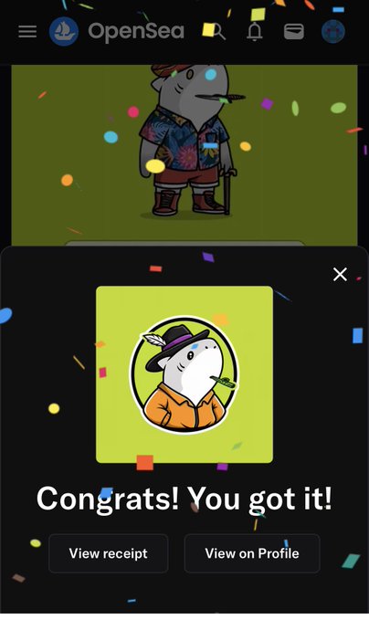 OpenSea mobile interface displaying a congratulations popup 'Congrats! You got it!' for acquiring a cute character NFT wearing a hat, with confetti animation.