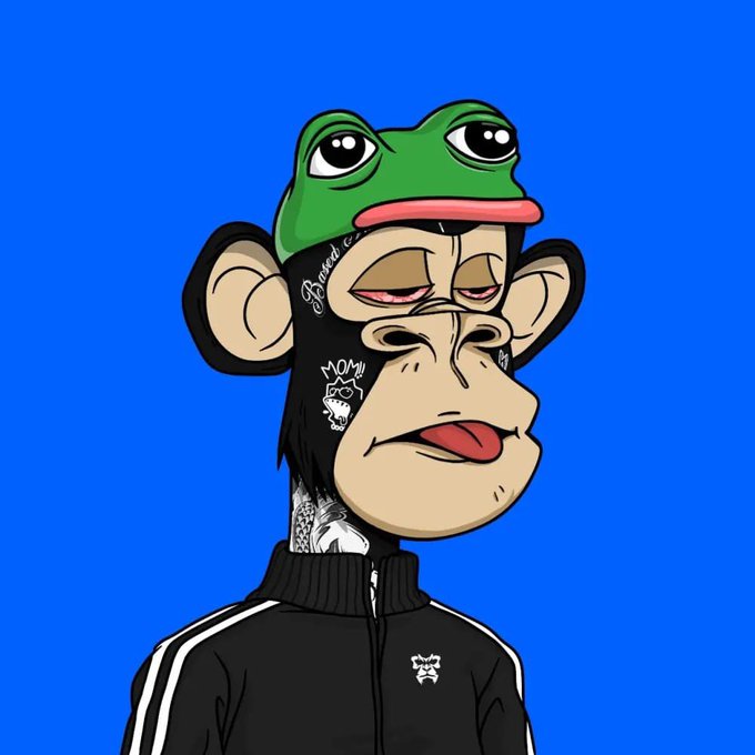 A cartoon illustration of a bored-looking monkey wearing a green frog hat and a black tracksuit with a small skull logo, set against a bright blue background.