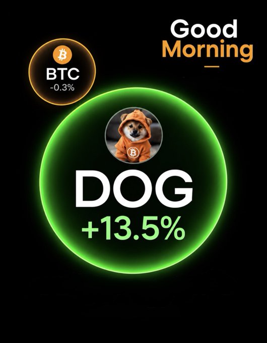 A 'Good Morning' crypto graphic showing BTC down 0.3% and DOG (Dogecoin) up 13.5%, featuring a Shiba Inu dog wearing a Bitcoin hoodie.