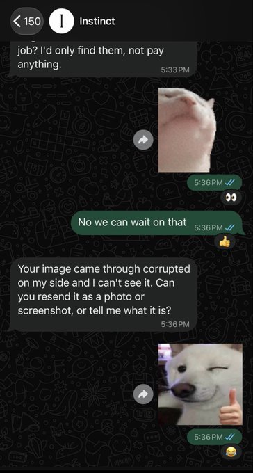 A screenshot of a text message conversation with contact 'Instinct' where someone discusses finding something for a job, sends images of a cat, and mentions their image came through corrupted and is requesting a resend.