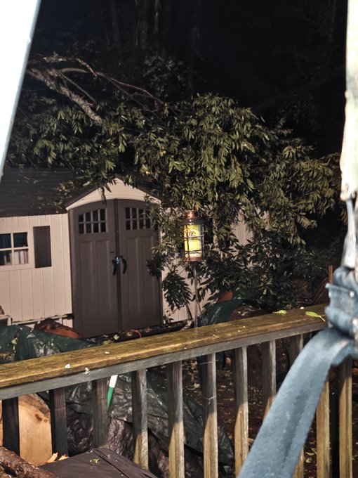 A nighttime photo showing a backyard with a beige storage shed partially obscured by trees and foliage, with a wooden deck railing in the foreground.