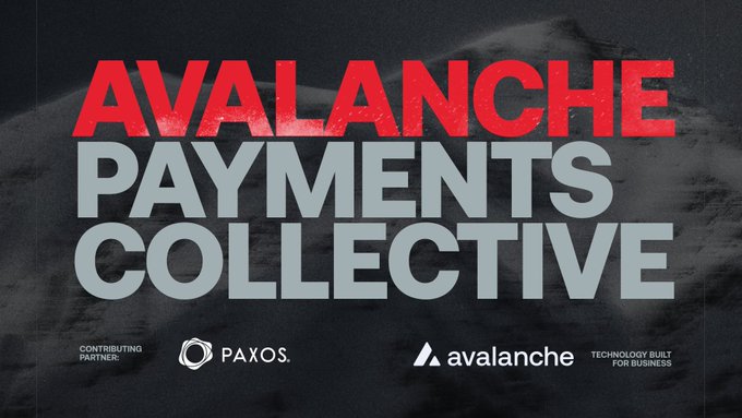 The image features a poster for the Avalanche Payments Collective, which is an initiative that brings together various payment solutions from different companies within the payments ecosystem. The poster includes logos of companies such as Paxos, which is a founding member of the collective, and Avalanche, a cryptocurrency platform. The text on the poster highlights the collaborative nature of the collective and its focus on shaping the future of payments by incorporating regulation and trust into their foundation.