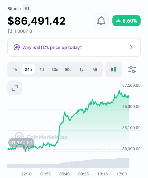 A CoinMarketCap screenshot showing Bitcoin (#1) trading at $86,491.42 with a 6.60% increase over 24 hours.