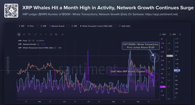 A Santiment chart titled "XRP Whales Hit a Month High in Activity, Network Growth Continues Surge" shows XRP Ledger data with price (highlighted near $1.50), network growth, and whale transaction count over a 6-month span. It highlights 1,917 $100K+ whale transactions as XRP's price jumped above $1.60, alongside 3,647 new XRP wallets created—both data points backing the post's claim of surging whale activity and network expansion.