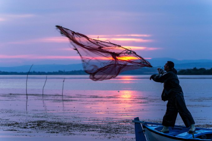 A fisherman stands on a boat at sunset, casting his net across calm waters, his silhouette framed by pink and purple skies. The image evokes themes of tradition, livelihood, and craft—aligning with the post's declaration "I have art on ETH" by symbolizing how everyday skills and artistry can hold real, tangible value, much like digital art secured on the blockchain.