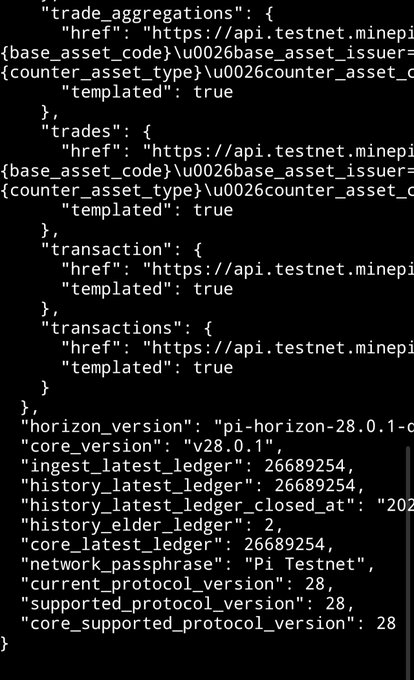 A screenshot of code showing a JSON response from the Minepi Testnet API, including details like 'horizon_version': 'pi-horizon-28.0.1-c' and 'network_passphrase': 'Pi Testnet'.