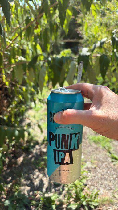 A hand holding a 'Punk IPA - Brewed Fresh' beer can in a garden setting with trees in the background.