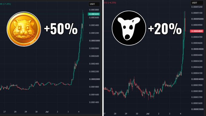 Side-by-side TradingView charts showing DOGS/USDT and HMSTR/USDT, each displaying sharp recent surges of +50% and +20% respectively, highlighting notable price momentum within the TON ecosystem.