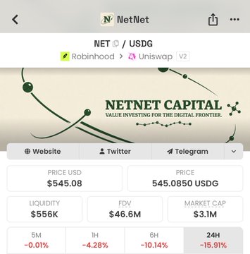 The image is a mobile screenshot showing token information for NET (NetNet Capital), trading at $545.08 with $556K liquidity and a $3.1M market cap, currently down -15.91% over 24 hours. The screenshot displays the token's listing on Robinhood and Uniswap V2, supporting the post's thesis about NET being a potentially interesting long-term play despite the significant recent dip.