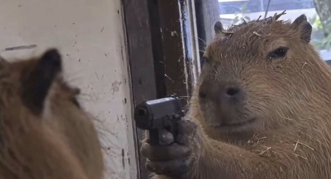 A close-up image of a capybara holding a small handgun, pointing it at another capybara whose back is visible in the foreground.