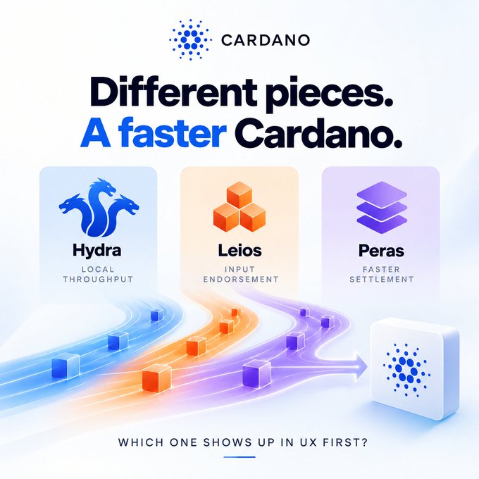 A Cardano infographic titled "Different pieces. A faster Cardano." illustrates three components: Hydra for Local Throughput, Leios for Input Endorsement, and Peras for Faster Settlement.