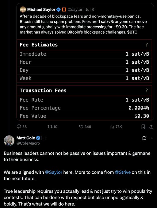 A tweet by Michael Saylor (@saylor) on July 8 discussing Bitcoin's blockspace and spam, noting fees are 1 sat/vB and a transaction fee of $0.30, followed by a reply from Matt Cole (@ColeMacro).