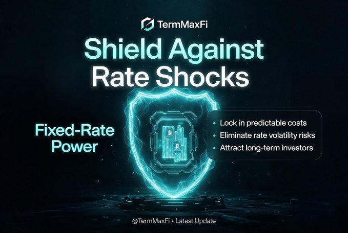 TermMaxFi promotional graphic titled 'Shield Against Rate Shocks,' featuring a glowing blue shield with 'Fixed-Rate Power' and bullet points: 'Lock in predictable costs,' 'Eliminate rate volatility risks,' and 'Attract long-term investors.'