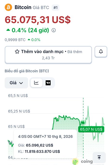 A Vietnamese-language CoinGecko price page shows Bitcoin (Giá BTC) trading at 65.075,31 US$, up 0.4% in 24 hours, with a candlestick chart and a tooltip displaying a price of 65.096,62 US$ at 4:05:00 GMT+7 on August 10, 2026.