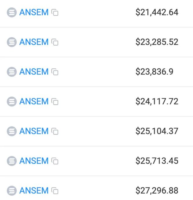 A list of seven transactions from 'ANSEM' ranging from $21,442.64 to $27,296.88, likely showing cryptocurrency wallet activity.