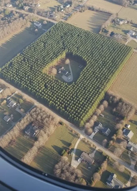 An aerial view from an airplane window reveals a solitary house surrounded by a perfectly square orchard, embodying the essence of seclusion and dedication. The image visually echoes the post's sentiment about a man who, with age, comes to appreciate the value of living a simple, isolated life close to nature.