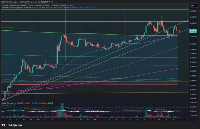 A TradingView candlestick chart showing VeChain's price action against TetherUS on Binance, displaying multiple moving averages, trendlines, and the MACD indicator.