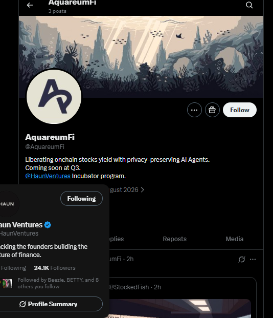 The image shows a Twitter/X profile page for AquareumFi (@AquareumFi), an incubator program under @HaunVentures launching in Q3, described as "Liberating onchain stocks yield with privacy-preserving AI Agents." The accompanying post references a purchase at 13 USDG with unconfirmed rumors linking the project to AquareumFi, though no direct confirmation is visible in the image.