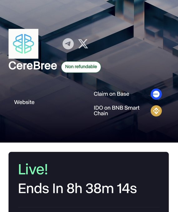 CereBree IDO card marked 'Non refundable' with Telegram and X icons, offering Claim on Base and IDO on BNB Smart Chain, showing a countdown 'Ends In 8h 38m 14s'.