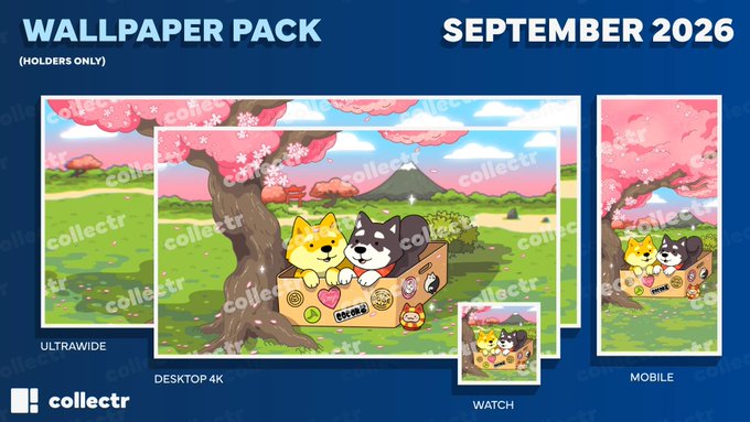 A 'WALLPAPER PACK' for 'SEPTEMBER 2026' by 'collectr,' showing various device-sized previews of an illustration of two dogs in a box under a cherry blossom tree.