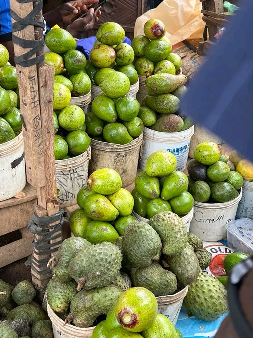 Buckets filled with green avocados and soursop fruits stacked at an outdoor market stall.