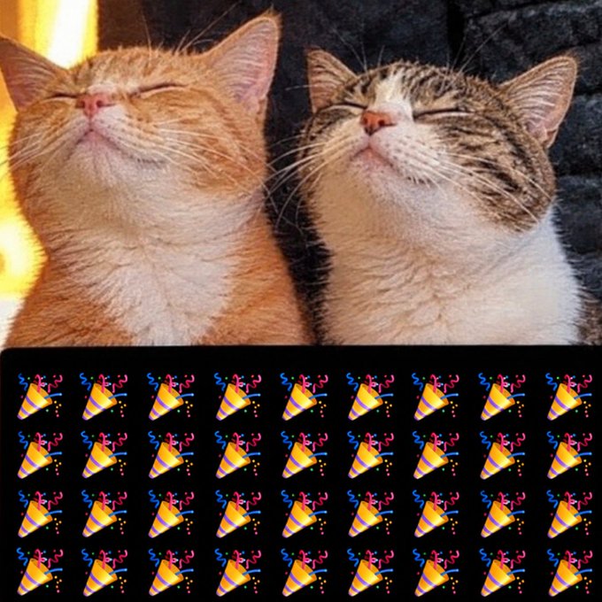 Two cats smile contentedly with eyes closed in the sun, above rows of party popper emojis, celebrating the duo's achievement of making approximately $3.14 (π) profit together.