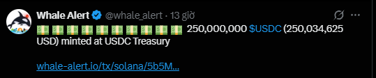 A tweet from Whale Alert (@whale_alert) reporting that 250,000,000 $USDC (250,034,625 USD) was minted at USDC Treasury on the Solana network.
