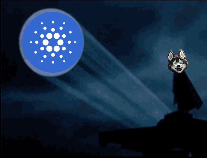 The image features a blue circle with white dots, which appears to be a light source or a spotlight. A husky dog is flying towards this light source, creating an interesting scene against a dark background. The caption of the image reads "Put up the Cardano signal". This suggests that there might be some sort of event or gathering related to cryptocurrency or blockchain technology taking place in the area where the dog is located.

The husky's flight path and the light source create a sense of movement, drawing attention to the dog as it flies towards the spotlight. The dark background further emphasizes this scene by making the elements stand out even more.