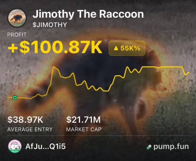 The image shows a crypto trading profile for "$JIMOTHY" (Jimothy The Raccoon) on pump.fun, displaying a profit of +$100.87K (55K%), a $21.71M market cap, and a $38.97K average entry, with a yellow price chart overlaid on a raccoon background. The post highlights this as a successful 86x gain, framing it as another winning call alongside $ANSEM and $CASHCAT to mock followers who didn't take notice.