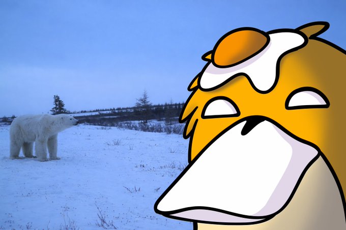 A meme image showing a real polar bear in a snowy landscape with a cartoon image of the Wojak 'Cheems' dog character superimposed on the right side.