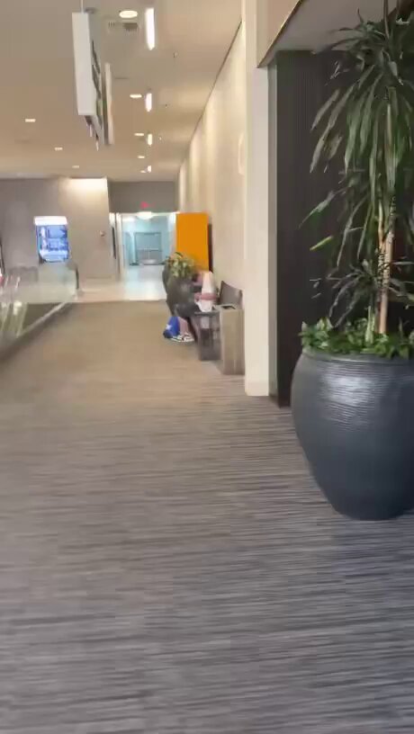The image shows a hallway with a person walking down the aisle, surrounded by potted plants placed at various locations along the space. The hallway appears to be empty or nearly empty, with no other people visible. There are two potted plants situated in the center of the scene - one large plant and another smaller one. A bench is also present in the area, providing a place for people to sit and relax.

The image includes text that reads "If you'r not this locked in Q4 forget buying cycle low". This message seems unrelated to the main subject matter but could be an advertisement or promotional material related to the products being sold at the store.