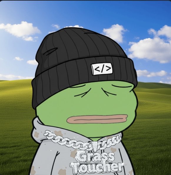 A cartoon green frog character wearing a black beanie with a code symbol and a 'Grass Toucher' shirt, set against a Windows XP-style rolling hills background.