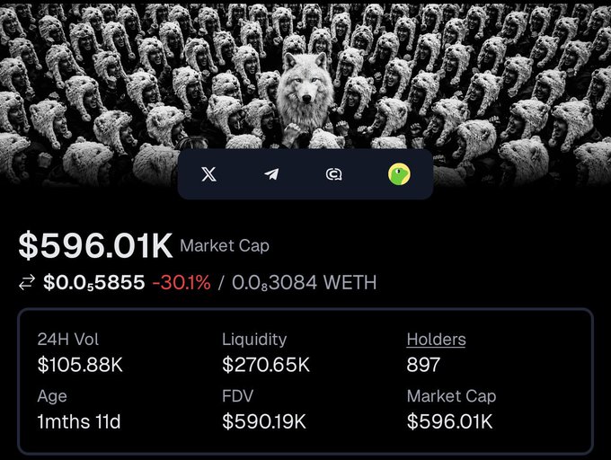A cryptocurrency coin profile page shows a wolf surrounded by a pack, with a market cap of $596.01K, priced at $0.05855 (-30.1%), and stats including 24H Vol $105.88K, Liquidity $270.65K, and 897 Holders.