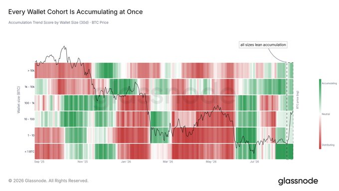 A Glassnode chart titled 'Every Wallet Cohort Is Accumulating at Once' showing BTC accumulation trend scores across different wallet sizes from Sep '25 to Jul '26.