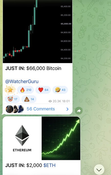 A Telegram news notification from @WatcherGuru announces "JUST IN: $66,000 Bitcoin" and "JUST IN: $2,000 $ETH," featuring bull and rocket emoji reactions alongside a candlestick chart. The cheerful caption reflects excitement over these price milestones, with the emoji-strewn reactions underscoring the celebratory mood.