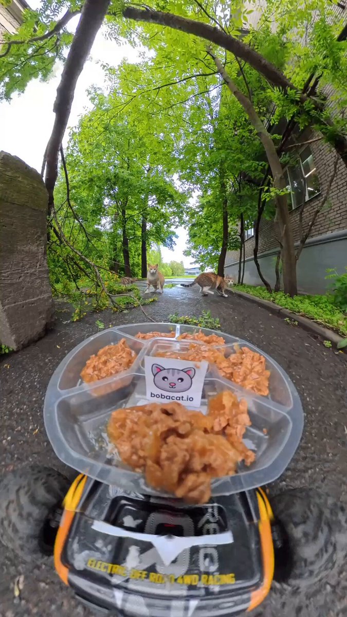The image features a toy car with a plate of food, including chicken nuggets and a bowl of sauce, driving down a street surrounded by trees. The photo appears to be taken from behind the toy car, giving an interesting perspective on the scene. The caption at the bottom of the image reads "@BOBA".