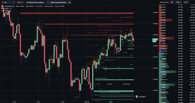 A Bitcoin (BTC) candlestick chart displayed on the TradingView platform shows the price hovering around the $66,950 level, with a "Whale Order Analysis" indicator highlighting clusters of heavy sell orders (red zones) stacked between the $65,000 and $66,000 range—visualizing the post's point about this zone acting as resistance for bulls to overcome.