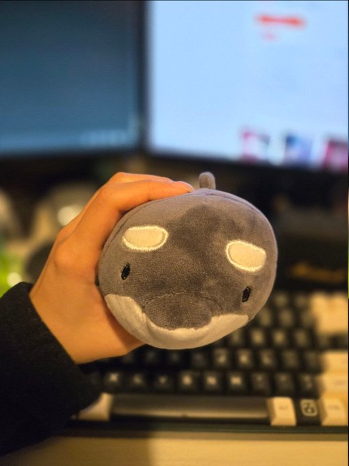 Close-up photo of a hand holding a small grey plush toy with white markings, positioned in front of a keyboard and monitor.