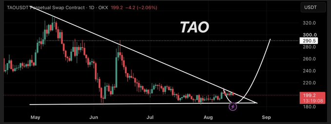 A daily candlestick chart of TAOUSDT Perpetual Swap Contract showing price at 199.2 USDT (-4.2, -2.06%), with a long-term downtrend line acting as resistance and horizontal support around $184–$185 from May through August. An upward arrow from a circled low in mid-August illustrates the post's bullish breakout scenario toward $220, $260, and $290.