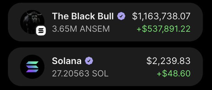 The image shows a crypto portfolio tracker displaying two assets: "The Black Bull" with a balance of $1,163,738.07 (3.65M ANSEM) showing a gain of +$537,891.22, and "Solana" with a balance of $2,239.83 (27.20563 SOL) showing a gain of +$48.60. Both entries are marked with verification checkmarks, illustrating substantial profits that reinforce the post's motivational message of "Just keep clicking" — implying that persistent action leads to significant portfolio gains.