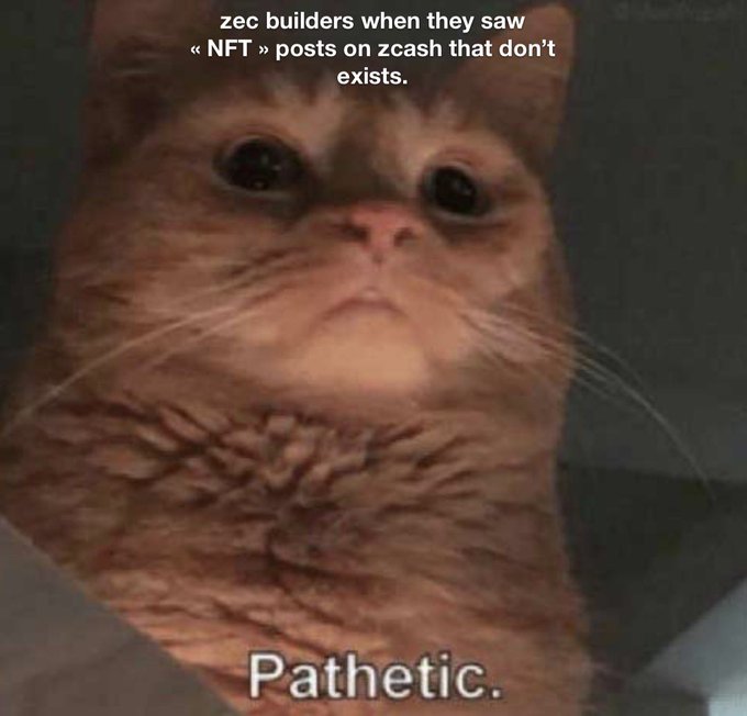 A crying orange cat meme with text 'zec builders when they saw « NFT » posts on zcash that don't exists.' at the top and 'Pathetic.' at the bottom.