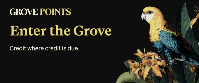 The image features a bird perched on top of a plant with yellow flowers against a black background. The text in the image reads "Enter the Grove" and "Credit where credit is due", which suggests that the bird is part of an advertisement for Grove Points, promoting their rewards program.