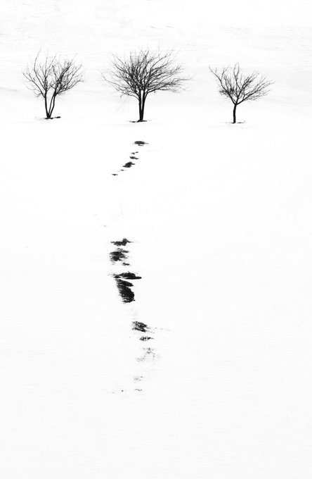 A minimalist black-and-white photograph of three bare trees in a snowy landscape with a trail of footprints leading toward them.