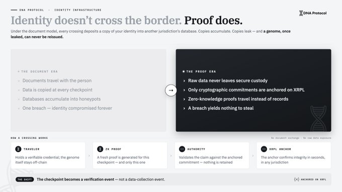 A promotional graphic for "DNA Protocol" contrasts "The Document Era," where identity data is copied at every checkpoint, with "The Proof Era," where cryptographic commitments anchored on XRPL allow verification without transferring data. The diagram illustrates a four-step crossing model: a traveler holds an off-chain verifiable credential, a fresh ZK proof is generated per checkpoint, the authority validates against the anchored commitment, and the XRPL anchor confirms integrity without retaining personal records.