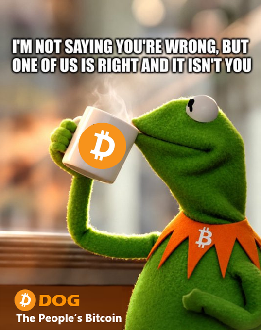 A Kermit the Frog meme featuring Kermit drinking from a mug with the Bitcoin 'B' logo, captioned 'I'M NOT SAYING YOU'RE WRONG, BUT ONE OF US IS RIGHT AND IT ISN'T YOU' with a 'DOG - The People's Bitcoin' logo at the bottom.